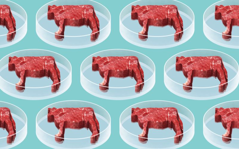 People will start switching to artificial meat by 2021