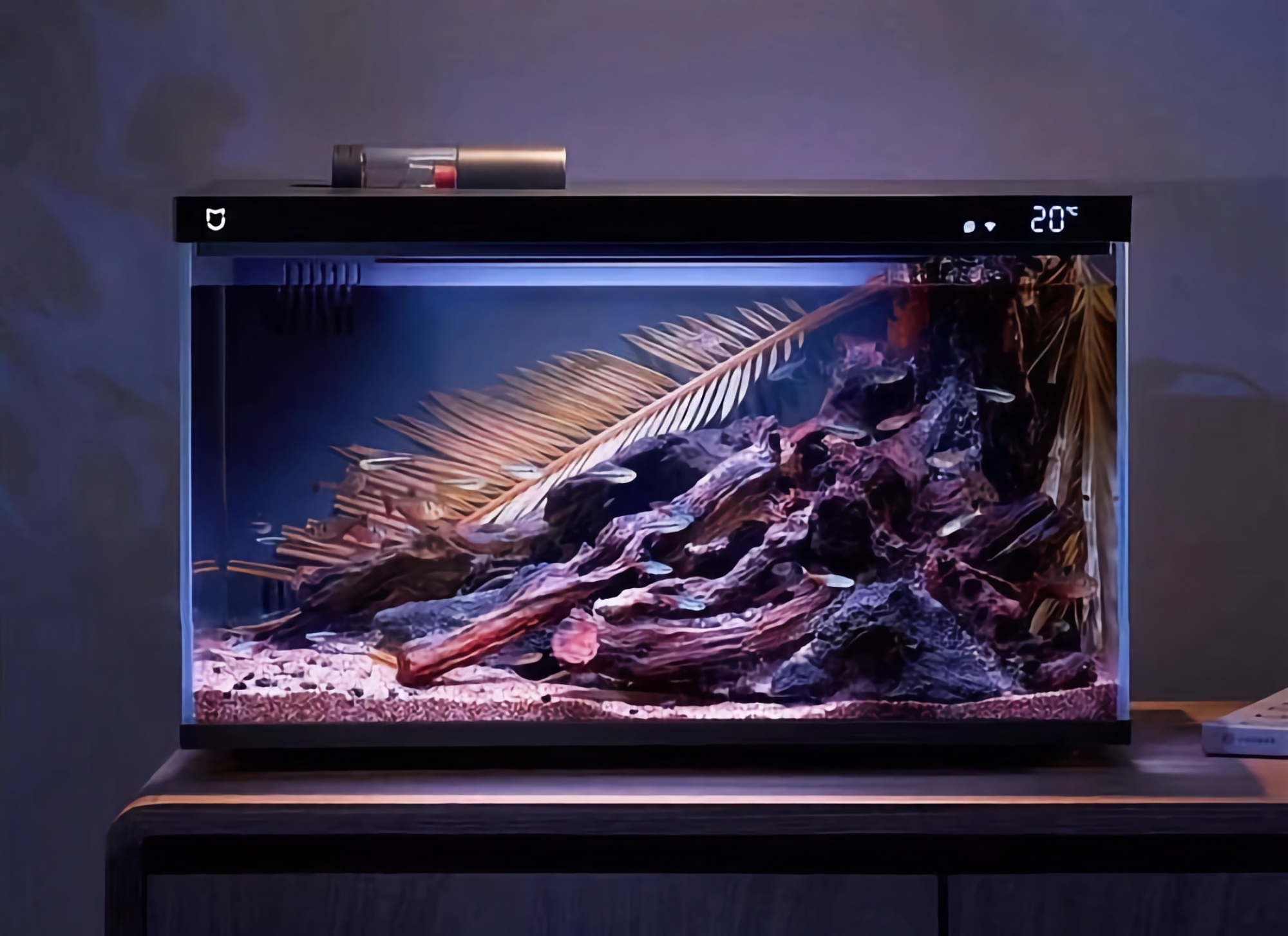 Xiaomi introduced a smart aquarium with a water filter, temperature sensor, RGB-lighting and remote feeding function