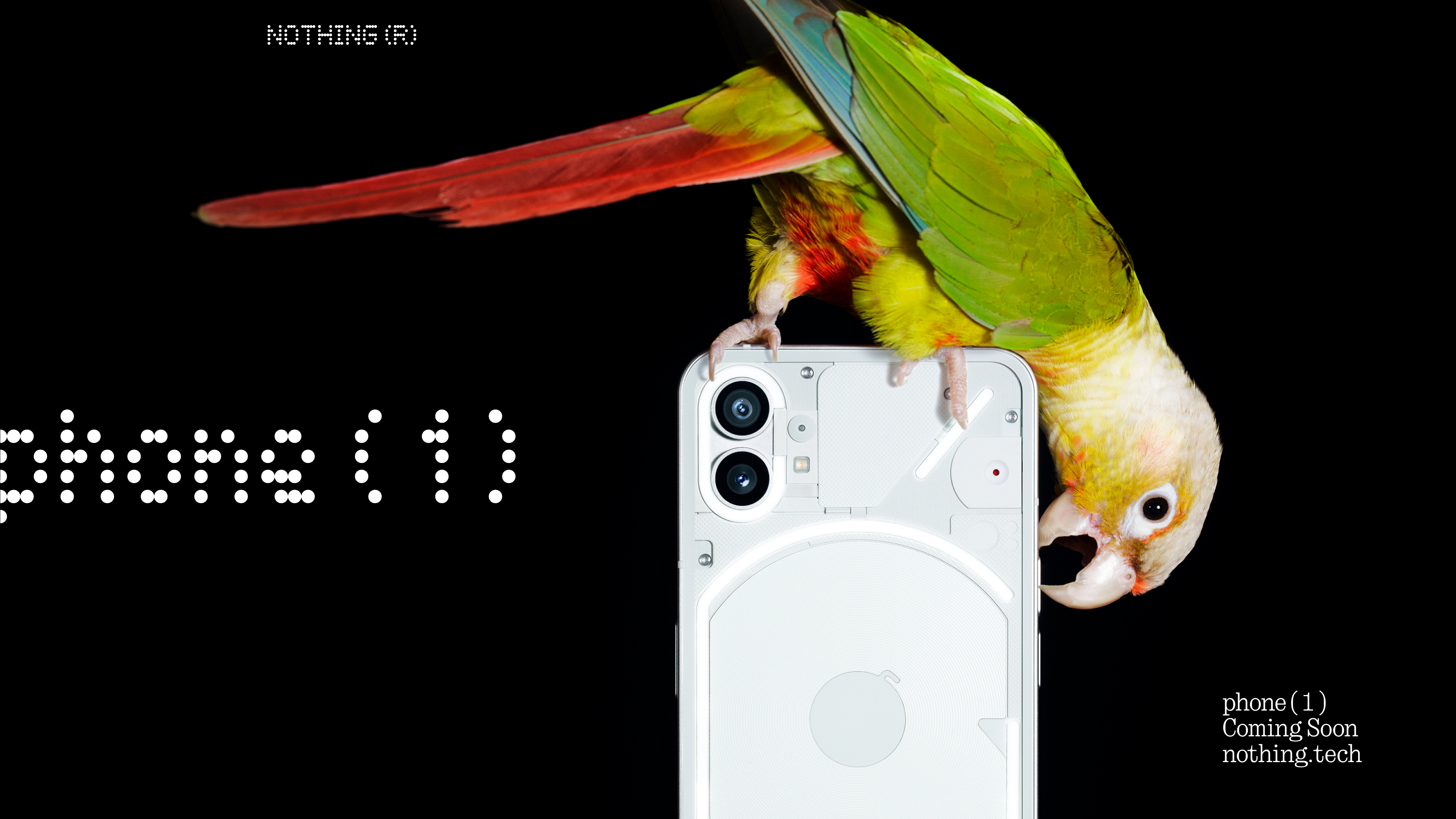 Pannello posteriore trasparente e doppia fotocamera: nulla ha mostrato il design dello smartphone Phone (1)