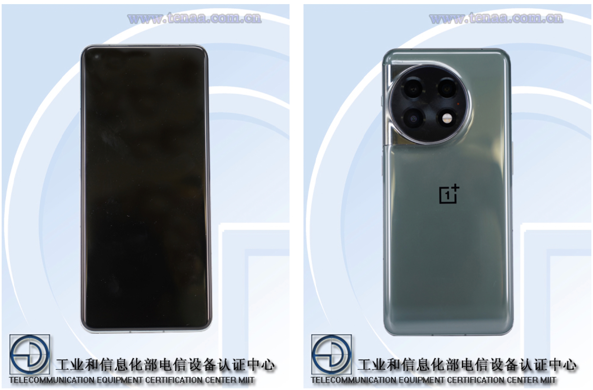 OnePlus 11 appeared in live photos: display with rounded edges, triple camera and green color