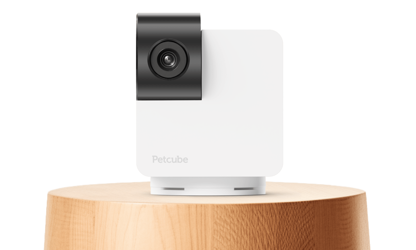 Petcube Cam 360: Haustierkamera mit 360°-Drehung, Nachtmodus und Zwei-Wege-Kommunikation