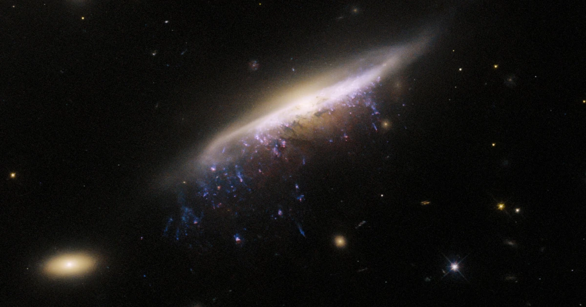 Hubble has photographed a galactic jellyfish 800 million light years from Earth