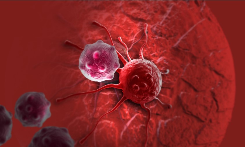 Scientists have created nanorobots that kill cancerous tumors