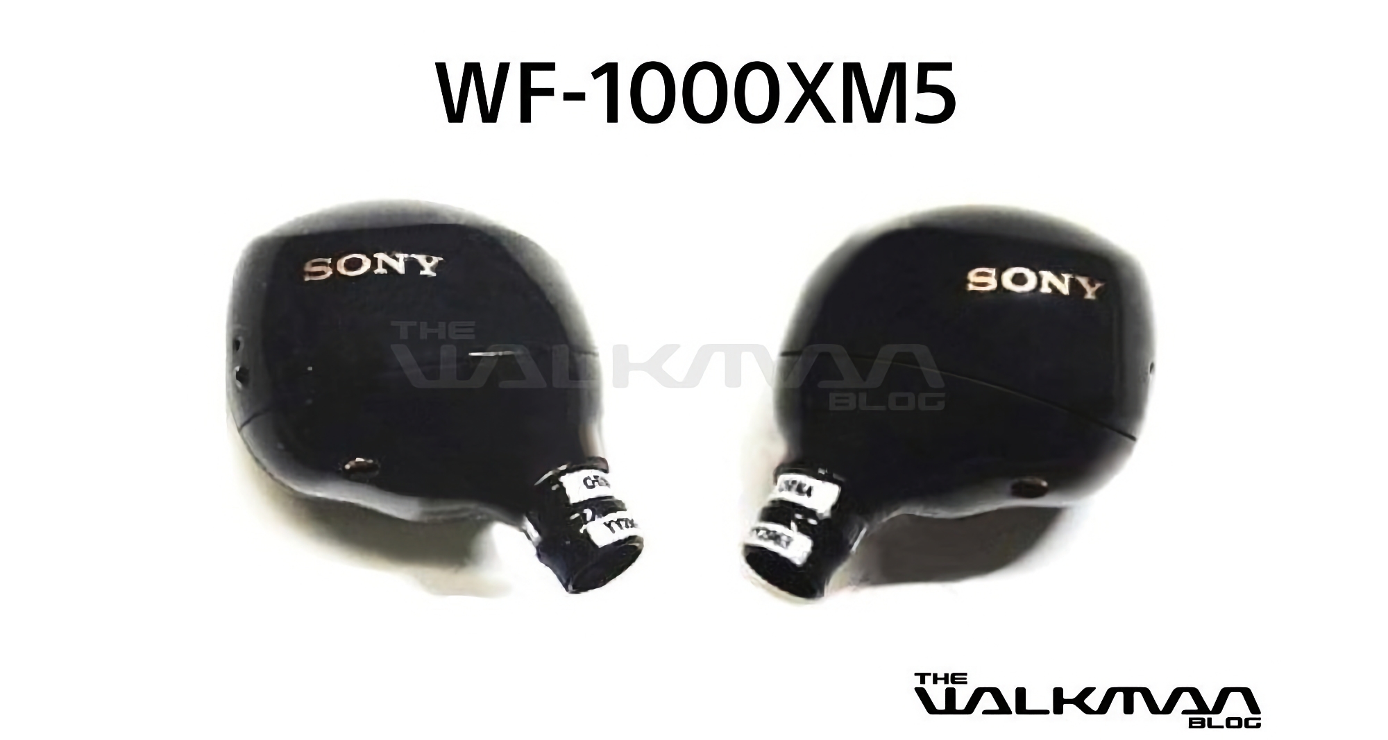 Images of the Sony WF-1000XM5: the company's new flagship TWS headphones have surfaced online