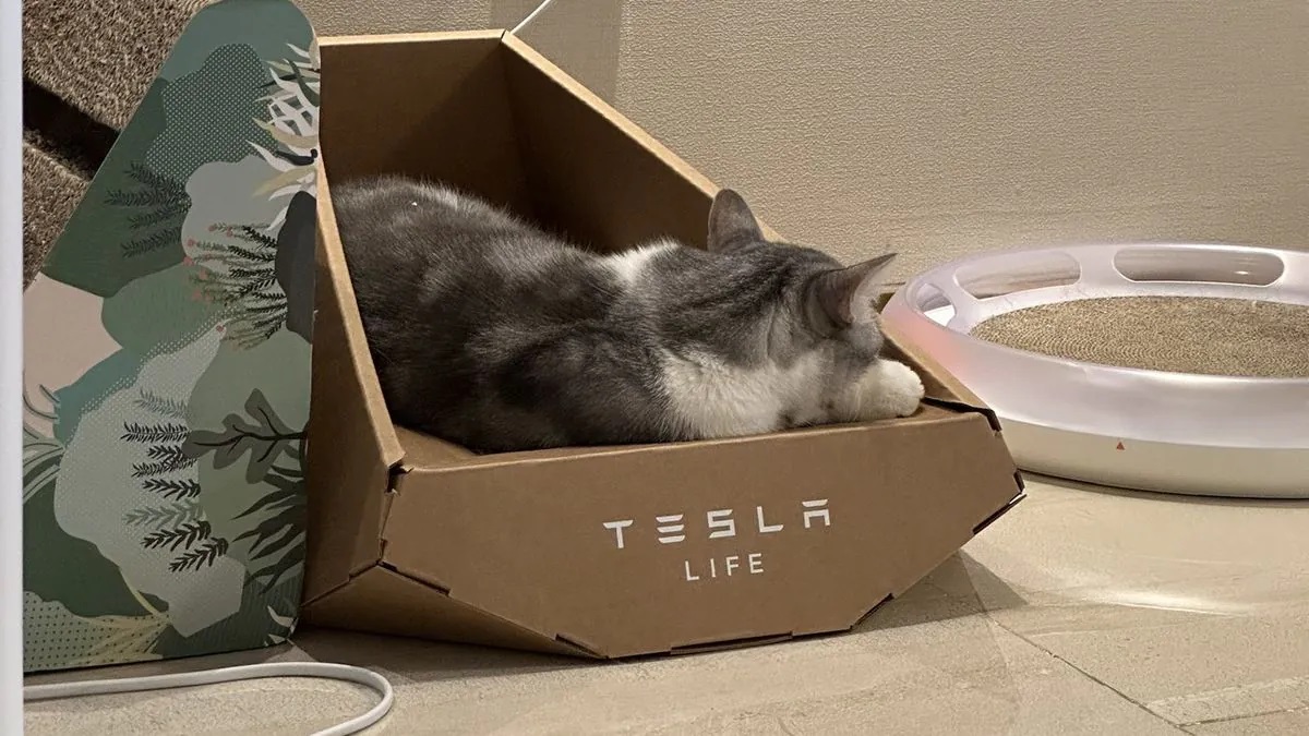 Es sieht so aus, als hätte Tesla das Design einer Katzenliege im "Cybertruck-Stil" von einer taiwanesischen Firma gestohlen