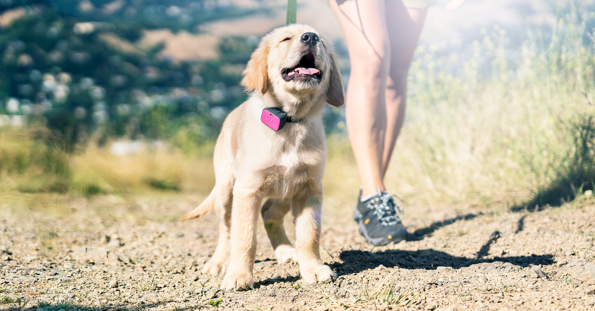 Best GPS Tracker for Dogs