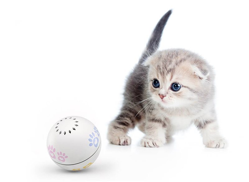 Xiaomi MiJia PN: умный мячик для кошки