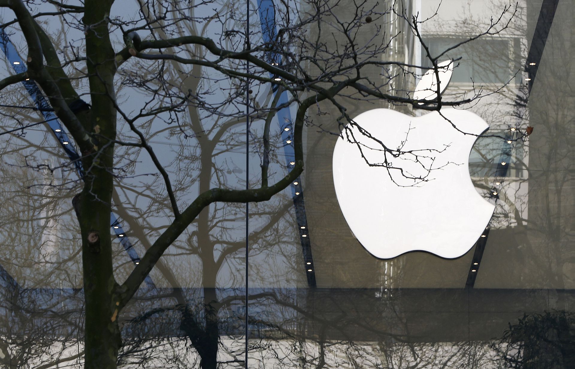 I Paesi Bassi hanno multato Apple di € 5.000.000 per mancanza di metodi di pagamento alternativi nelle app