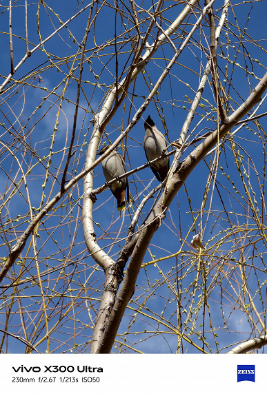 Знімок на Vivo X300 Ultra