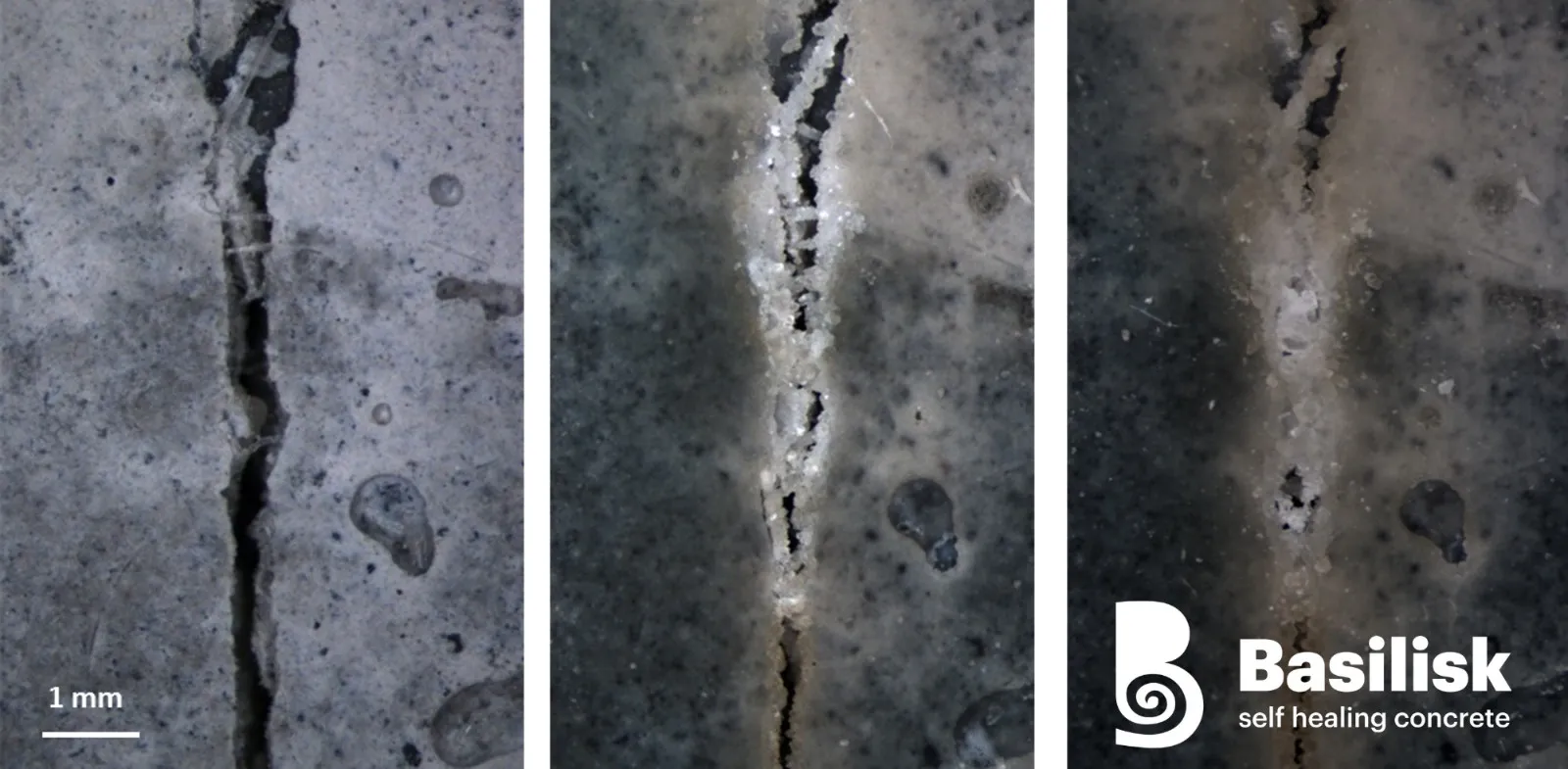 A self-healing concrete that seals cracks with the help of bacteria has been commissioned in the US