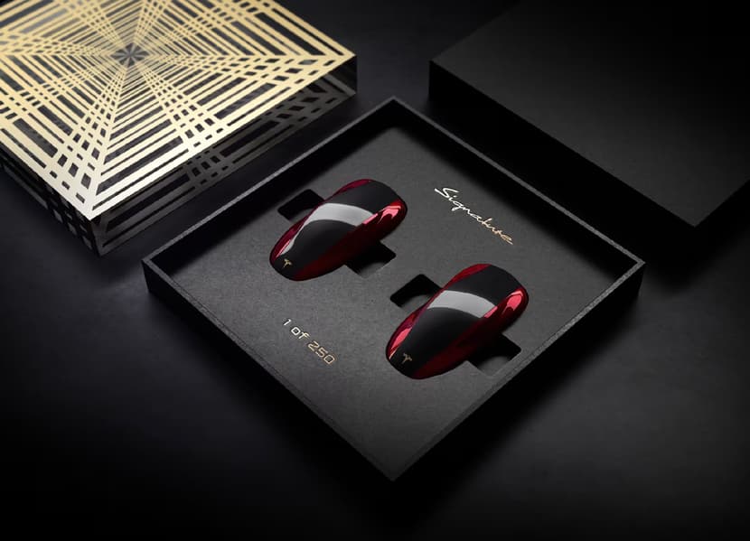 Брелок Tesla Signature Edition