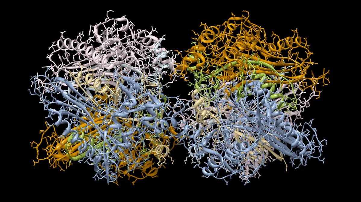 L'intelligence artificielle DeepMind a créé une base de données contenant les structures 3D de presque toutes les protéines connues de la science