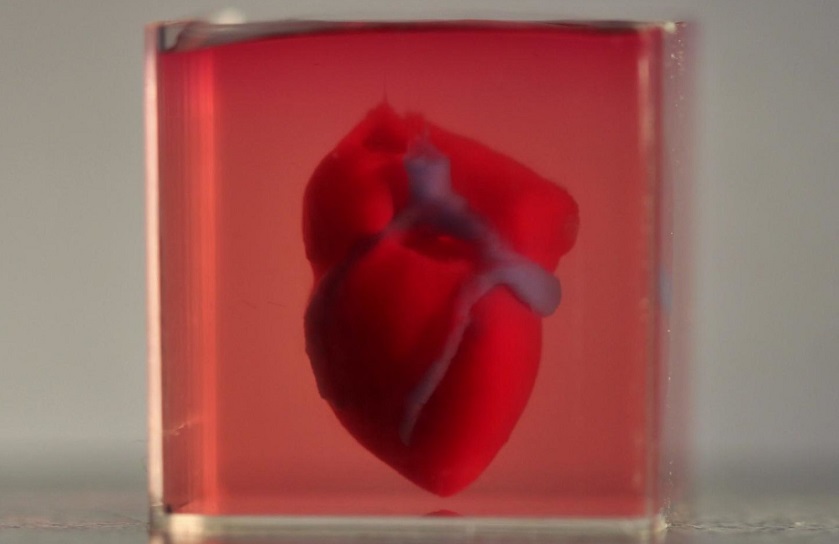Вчені надрукували перше 3D серце, використовуючи клітини пацієнтів