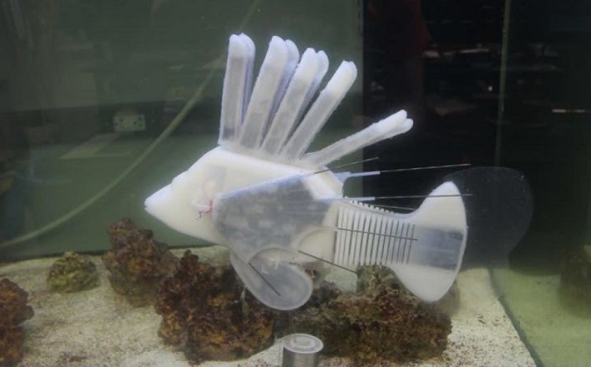 Naukowcy stworzyli robota rybę ze sztuczną krwią