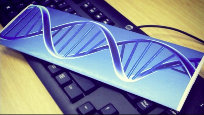 Una máquina de escribir de ADN transforma frases enteras en células vivas