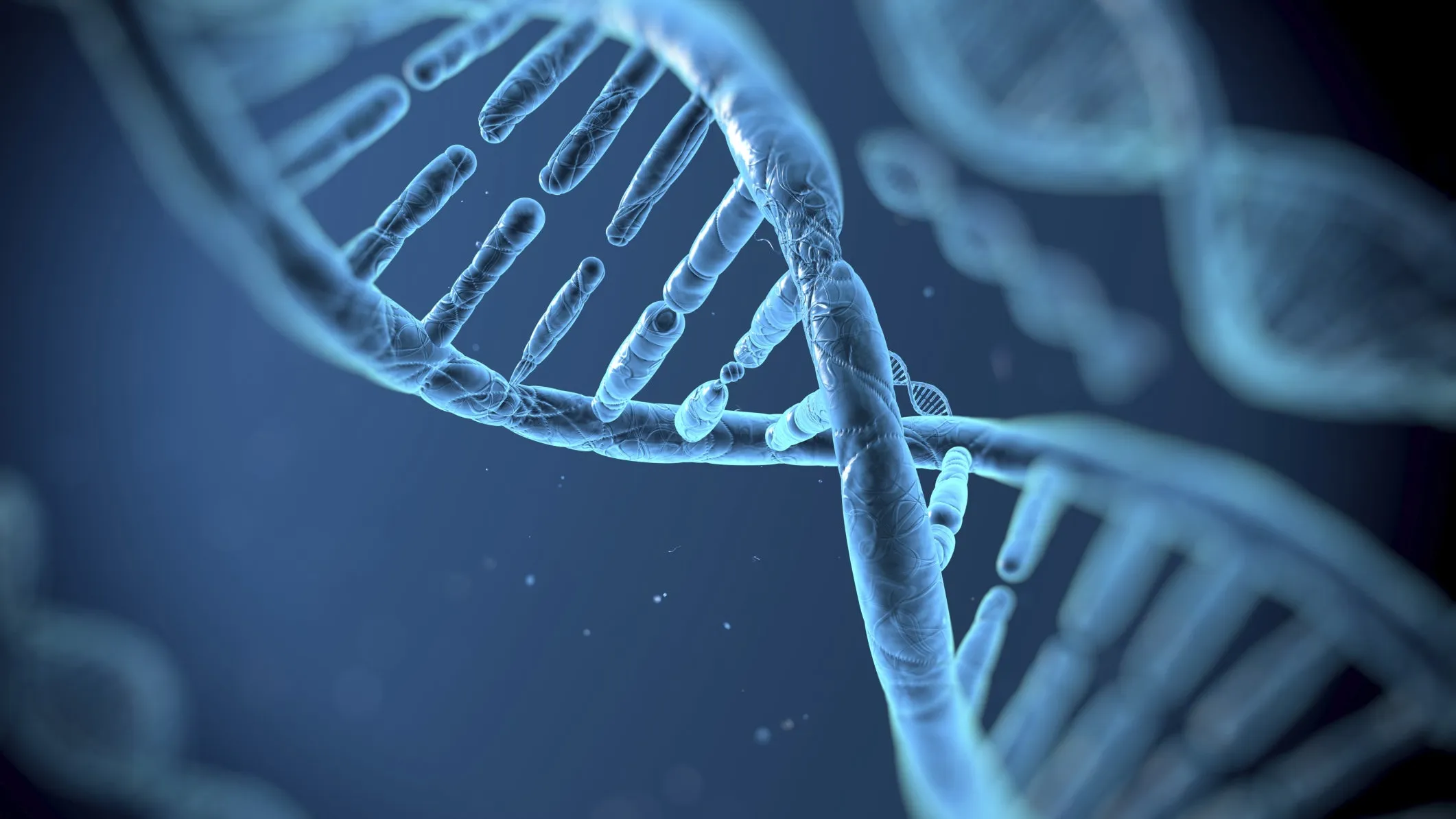 Biometry a annoncé une carte mémoire de 1KB à 1000 $ qui stocke des données dans l'ADN pendant 150 ans.