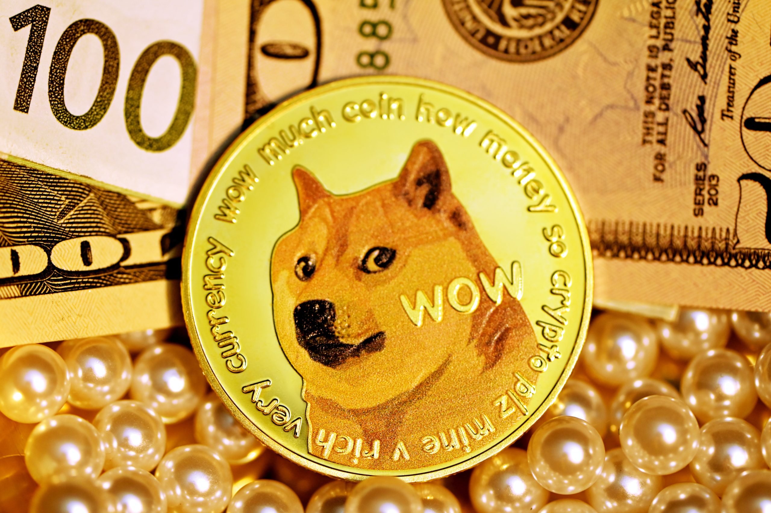 Stary właściciel portfela z 10 milionami Dogecoin został milionerem po 6 latach