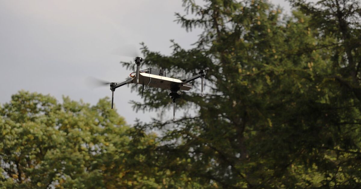 Los ucranianos desarrollan el dron de reconocimiento WarDog