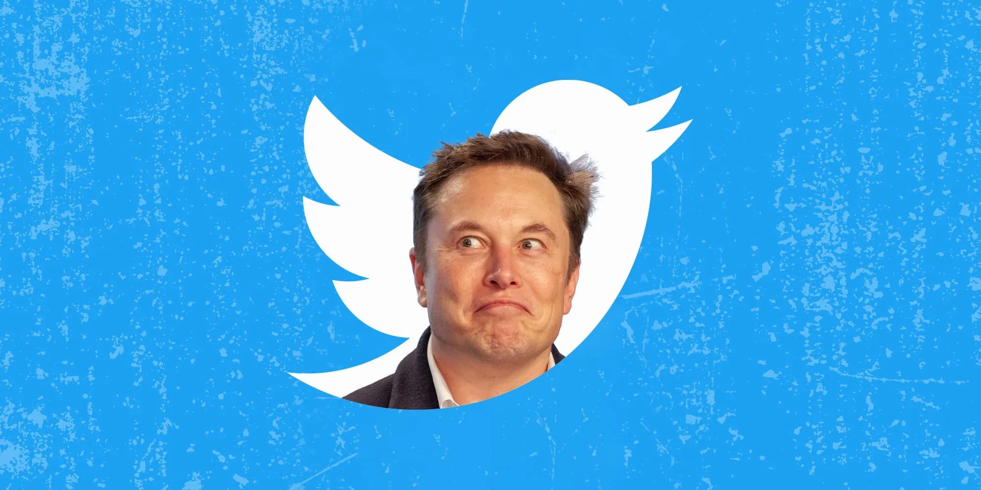 Elon Musk will raise the price of a Twitter Blue subscription to $11 on iOS - for everyone else the price will be $7