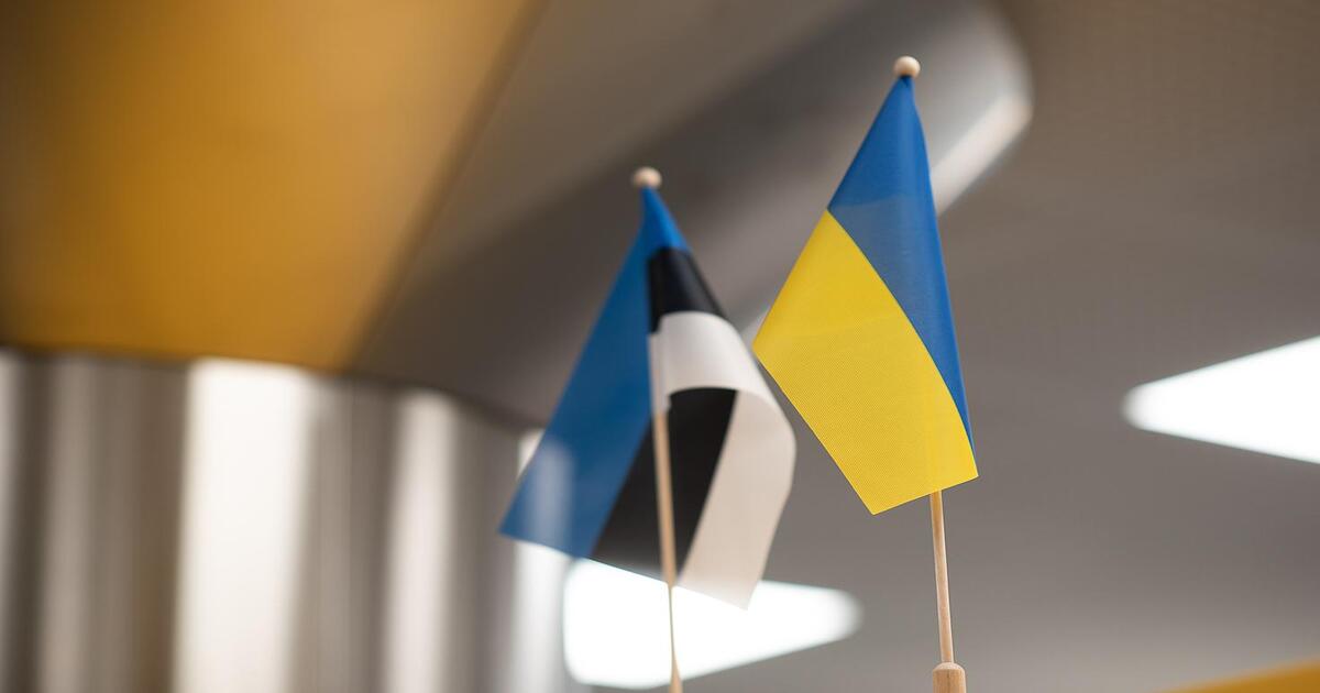 Estland kündigt neues Hilfspaket im Wert von 20 Mio. EUR an