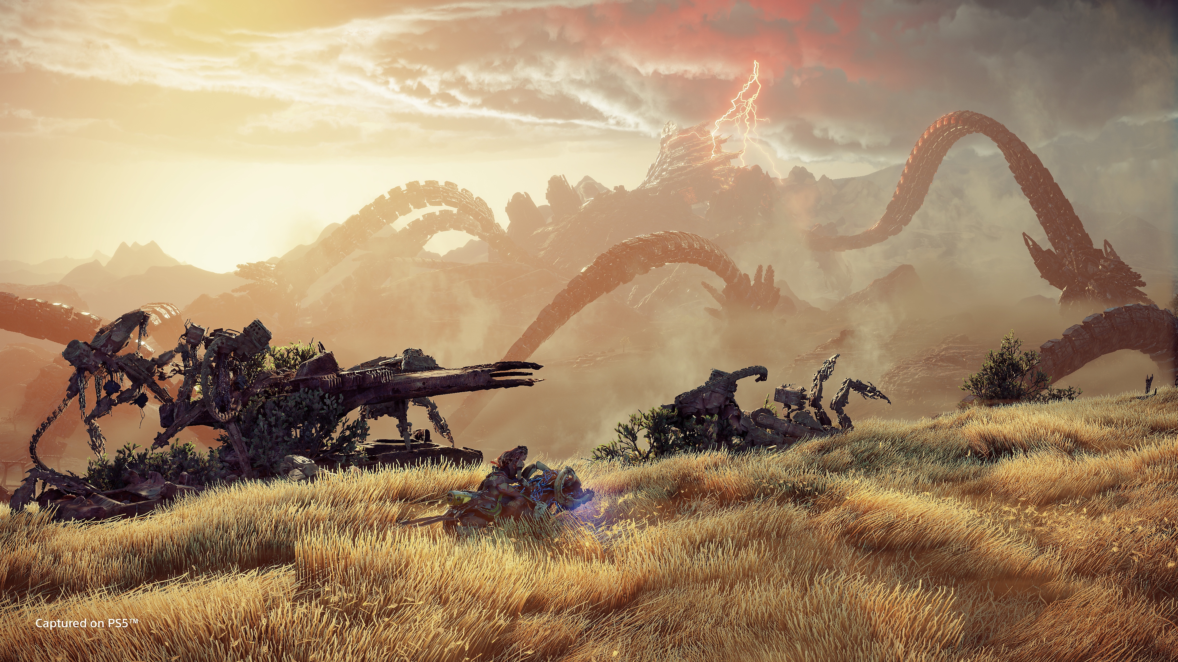 Игроки нашли место, где может быть находится DLC для Horizon Forbidden West