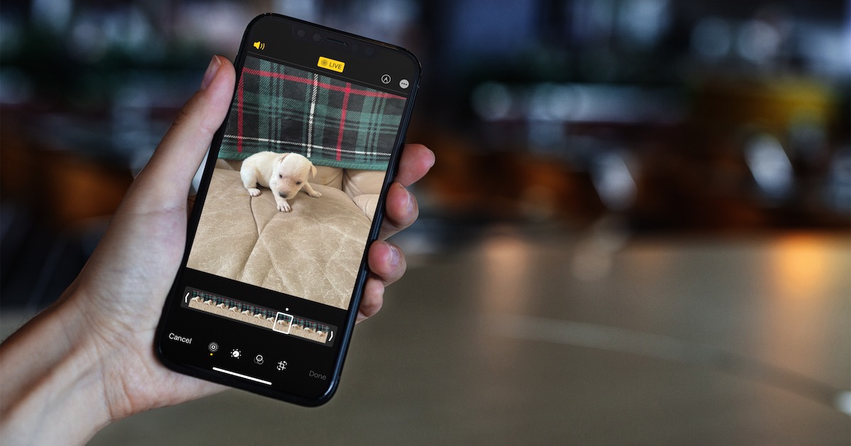 Новий інструмент Google дозволить перенести Live Photos з iOS на Android