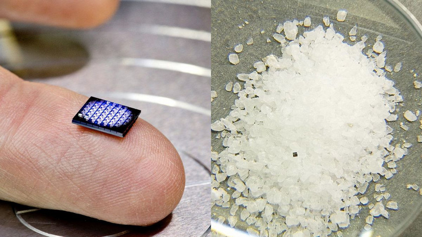IBM showed the smallest chip chip in the world