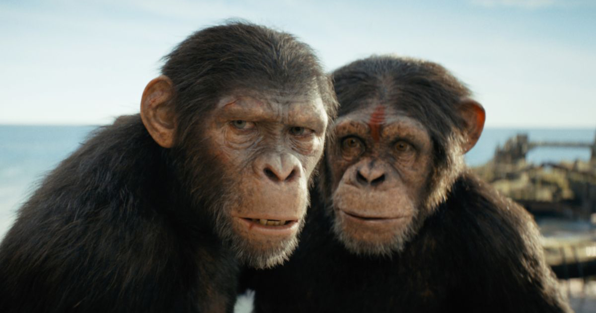 The Kingdom of the Planet of the Apes grossed $56 million in its first weekend in the US, the second best result in the franchise's history