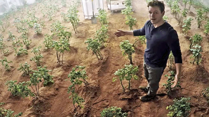 Ученые собрали урожай помидоров и гороха с почвы аналогичной марсианской и лунной