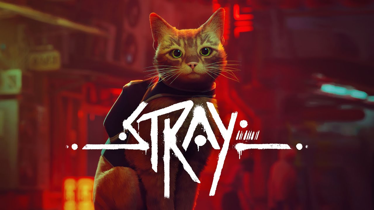 Stray will be available on Xbox on 10 August