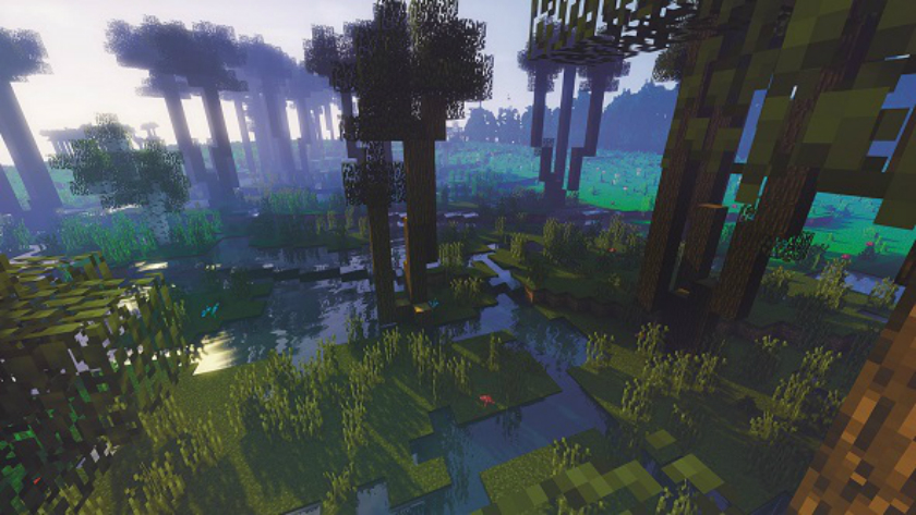 Игра Minecraft помогла спасти лес в Польше