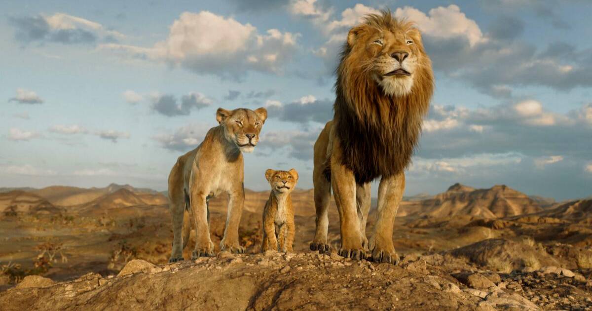 New Live action Spin off Of The Lion King What Do We Know 