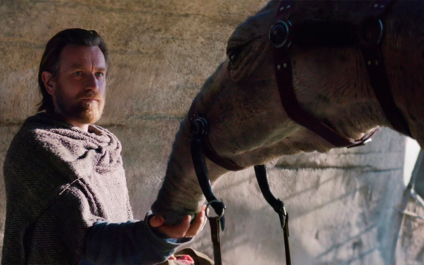 "Can we leave the camel in the garden?" During the filming of "Obi-Wan Kenobi" Ewan McGregor became attached to the camel and wanted to take it away