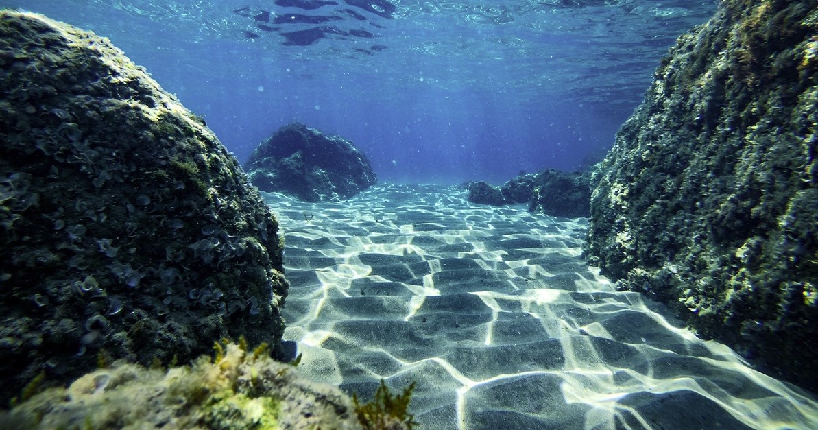 Gli scienziati hanno mappato quasi un quarto del fondale oceanico