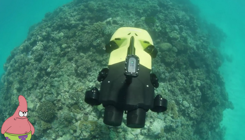 RangerBot: машина для убийства морских звёзд — врагов коралловых рифов