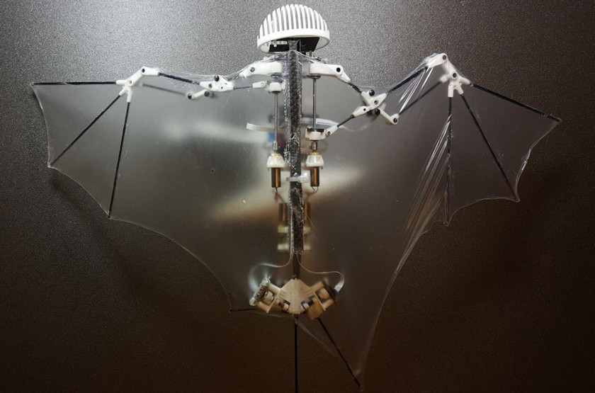 Робот-летучая мышь Bat Bot расправляет крылья