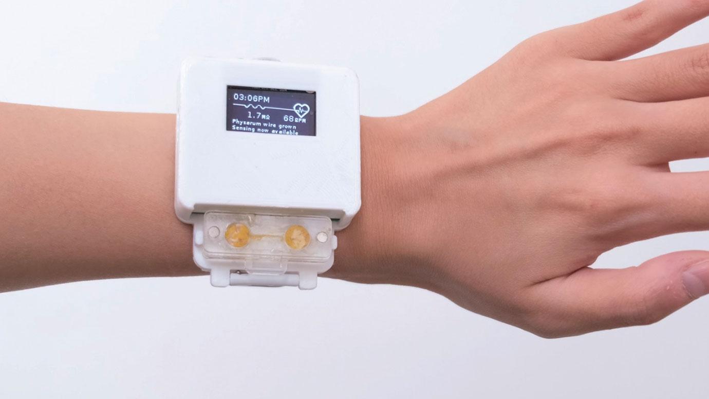 Scientists have created a smart watch with a living organism that needs to be fed - the functionality of the gadget depends on the health of the creature