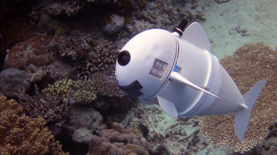 SoFi robot will spy on its deep-sea relatives