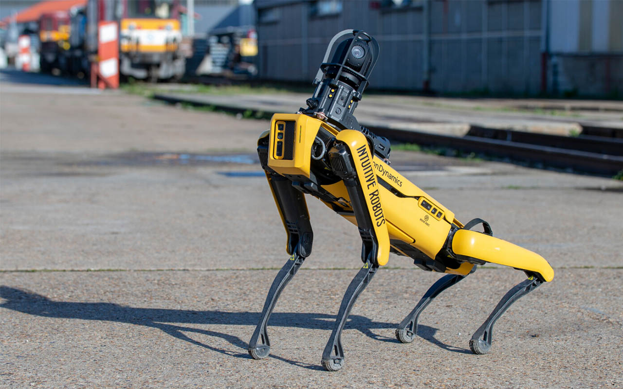 Le chien robot Spot se promène dans les rues de Kiev