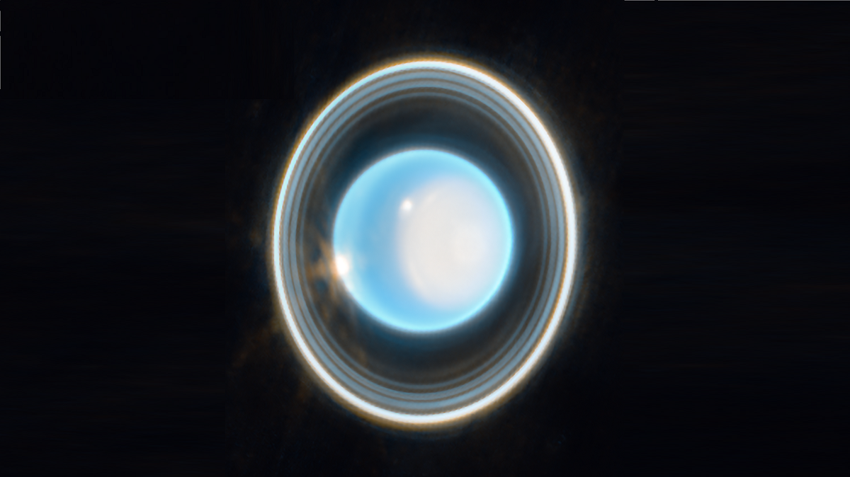 James Webb ha scattato una foto spettacolare di Urano con anelli luminosi