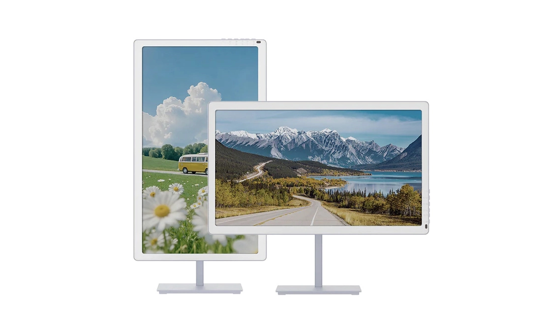 Монітор Bigme B251 Pro на підставці