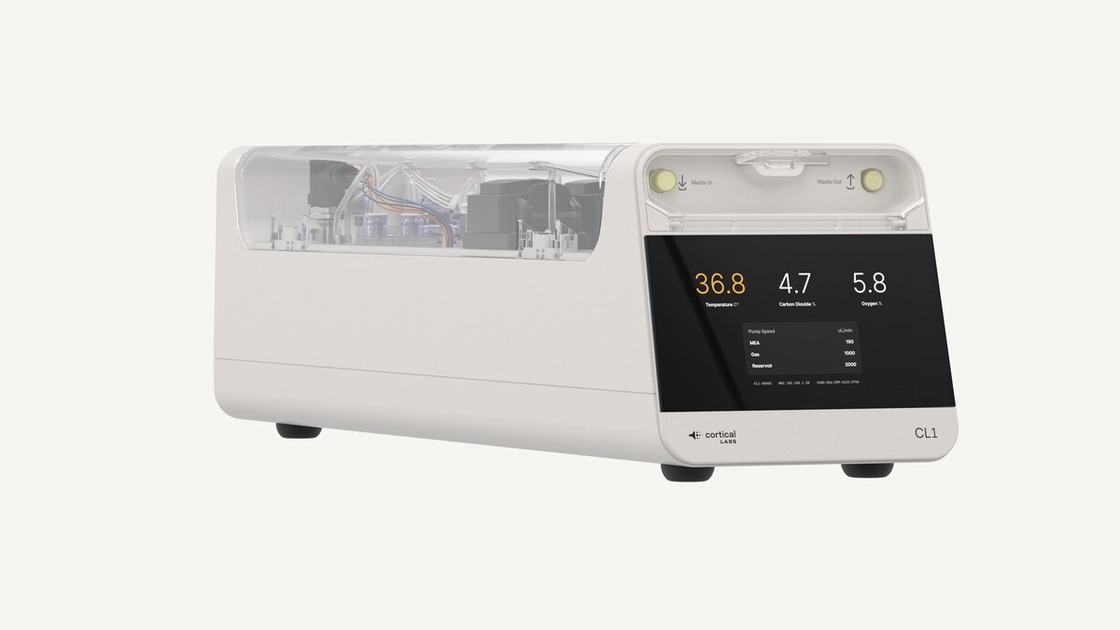 Біологічний процесор CL1 з нейронами