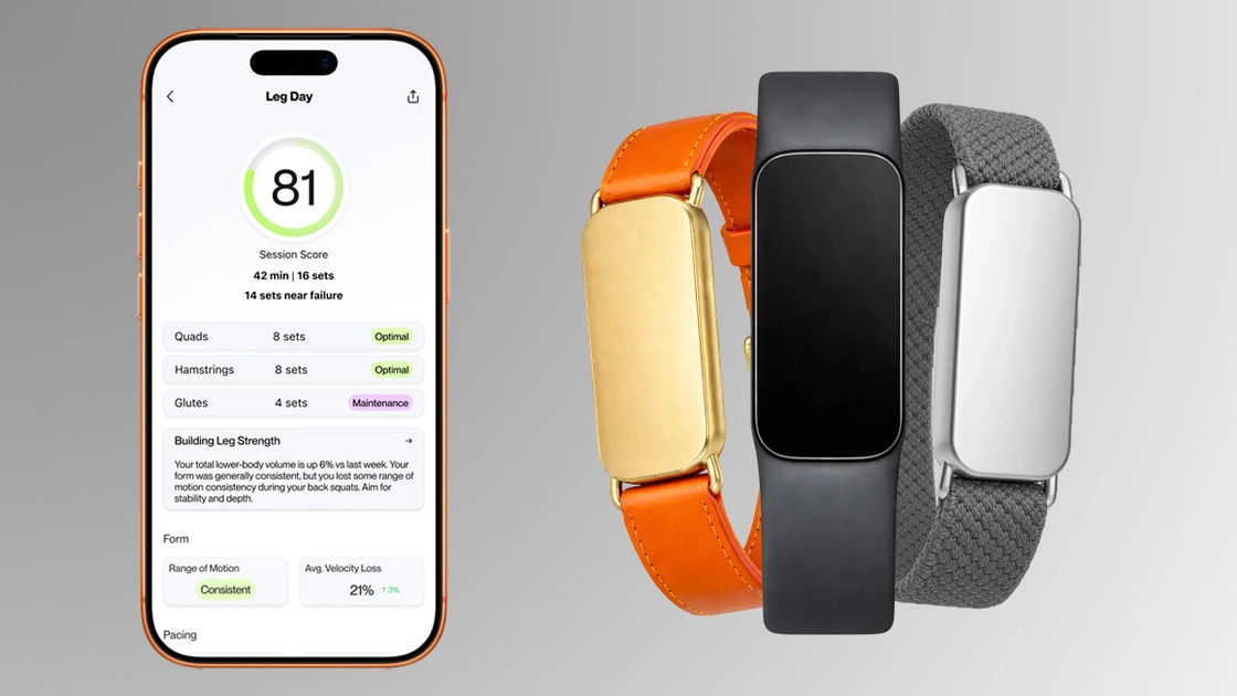 Comment les systèmes automatisés amènent le suivi des exercices à un nouveau niveau
