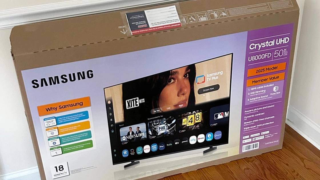 Dua Lipa sues Samsung for $15 million over unauthorized TV box photo