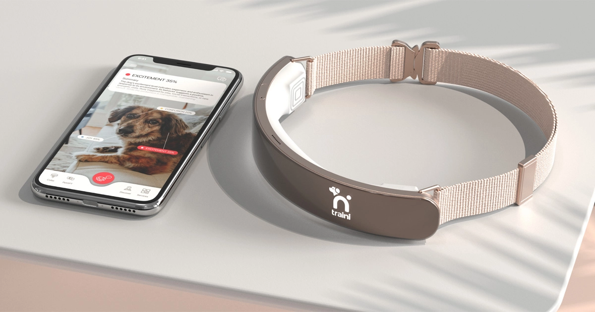 Traini : Découvrez les secrets des émotions canines avec le nouvel assistant technologique
