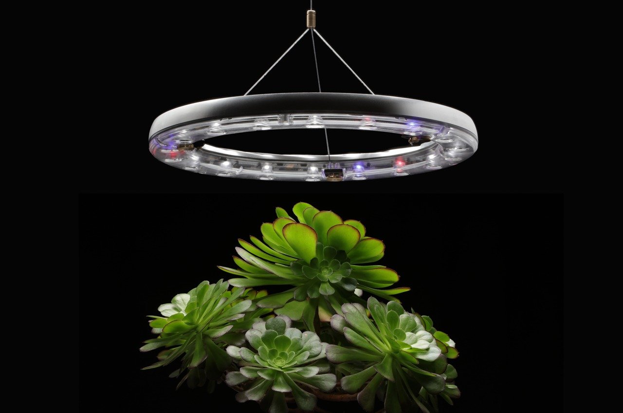 This horticultural light + watering system takes 360deg care of your indoor plants