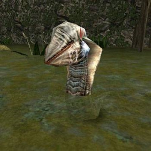 Nieuw uiterlijk van het bloeddorstige roofdier: de ontwikkelaars van de Gothic-remake toonden het bijgewerkte uiterlijk van Swamp Shark-3