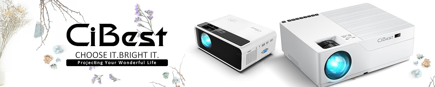 CIBEST Projectors