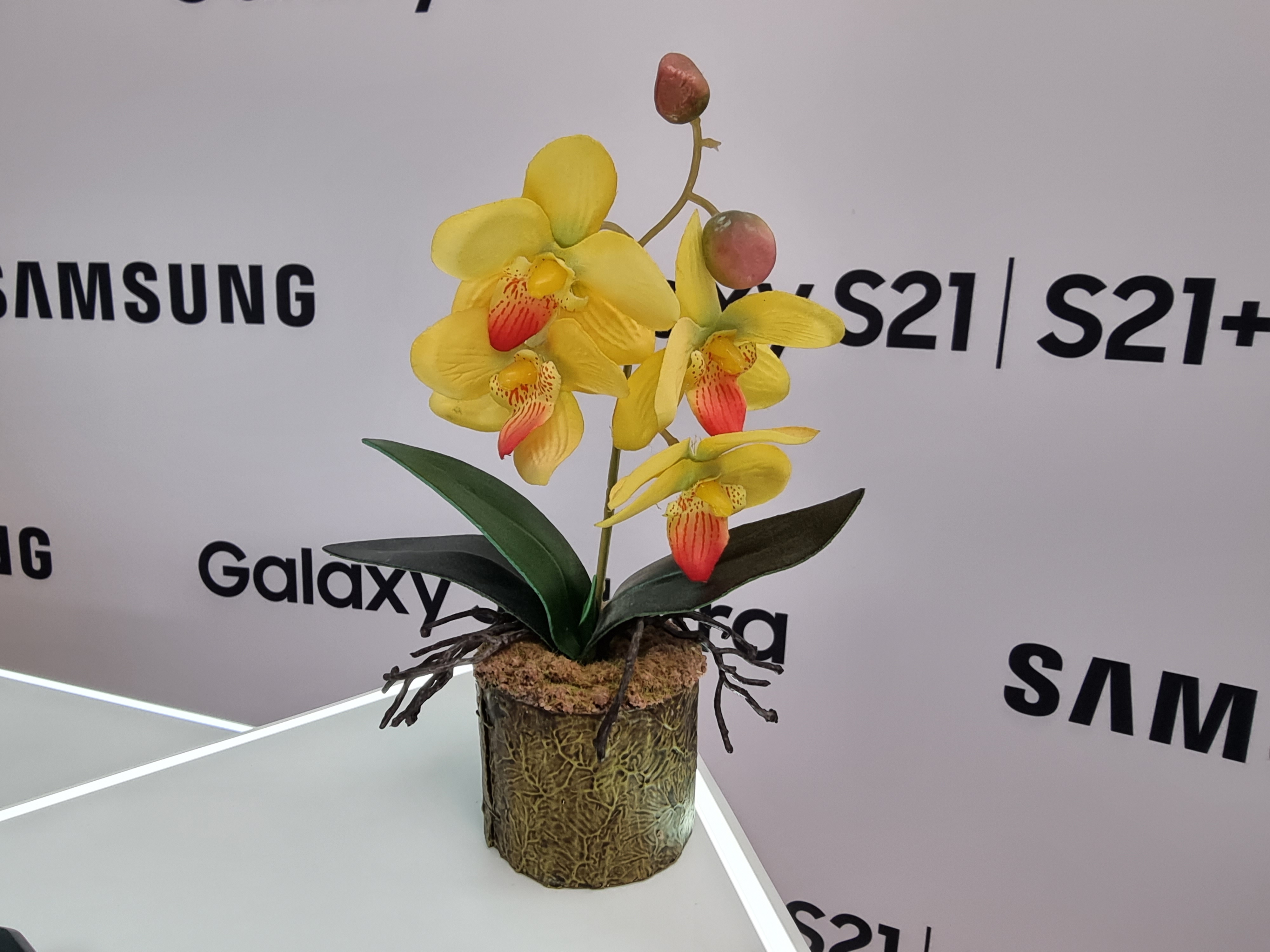 Флагманская линейка Samsung Galaxy S21 и наушники Galaxy Buds Pro своими глазами-39