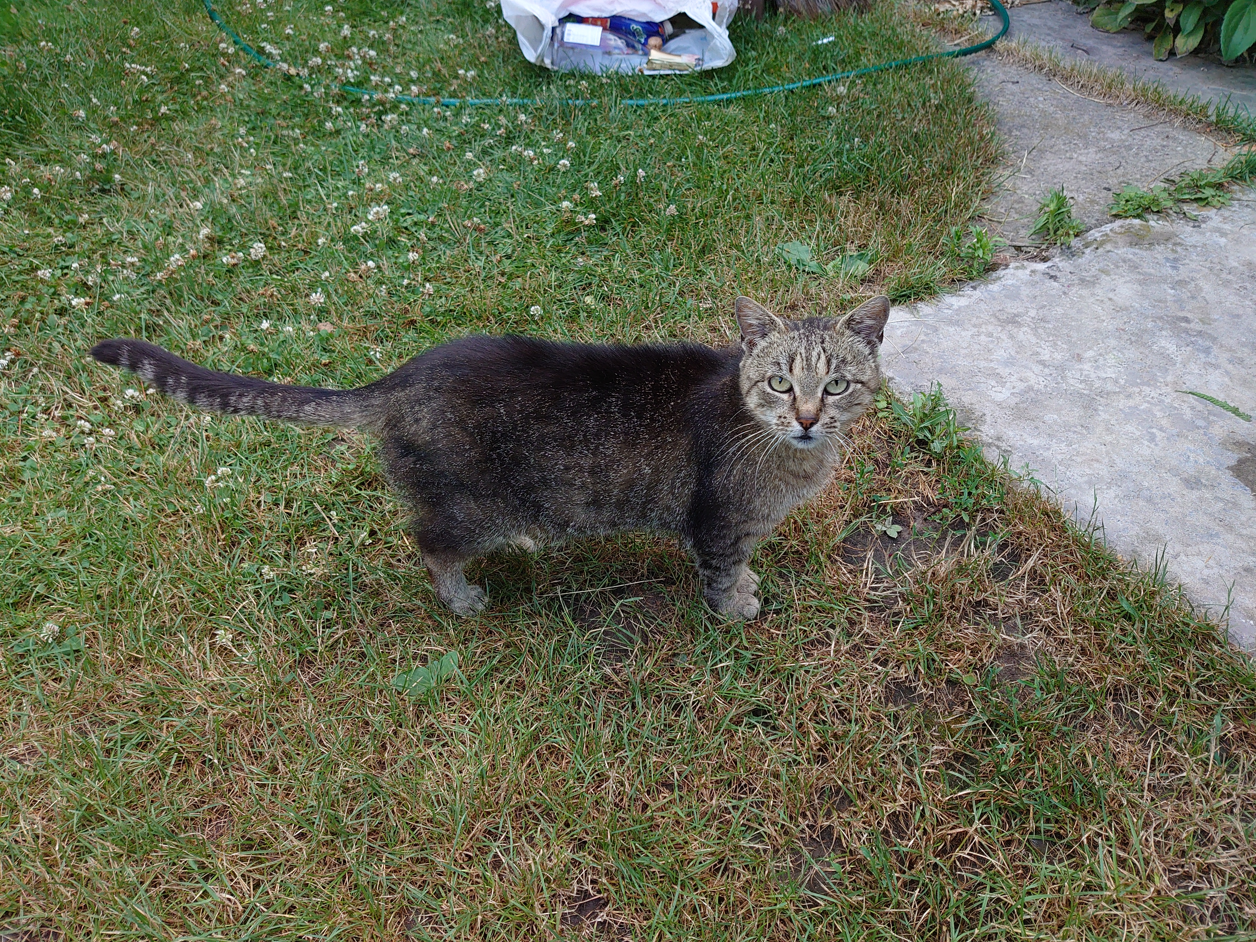 Огляд Sony Xperia 1: "високий" флагман з 4K HDR OLED дисплеєм-281